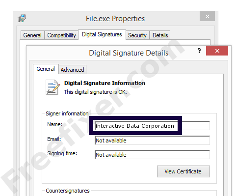 Screenshot of the Interactive Data Corporation certificate